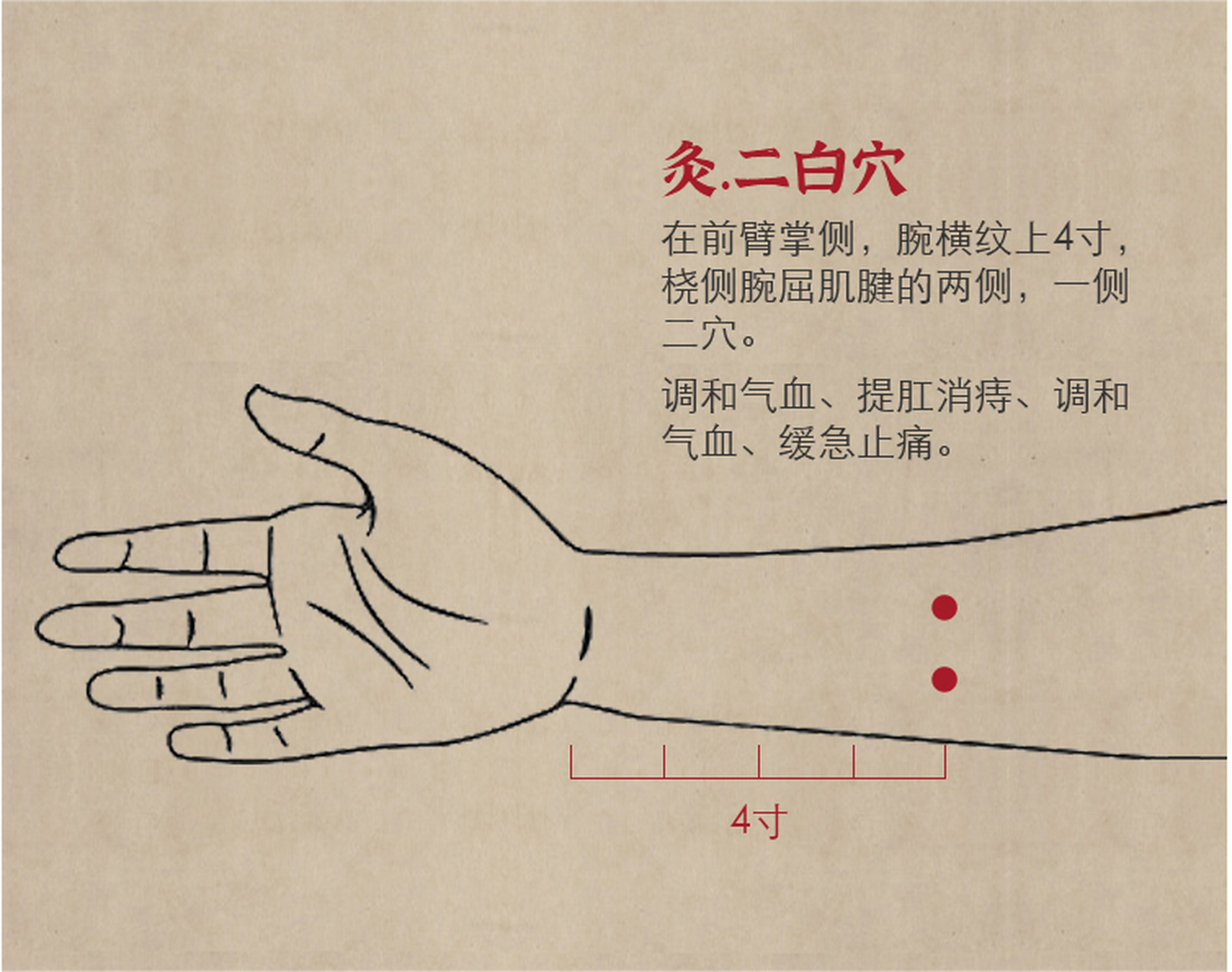 主冶:1,痔疮,脱肛;2,前臂痛,胸肋痛.