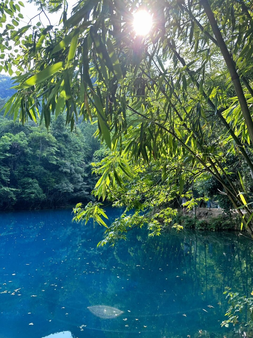 荔波小七孔:人间仙境的翡翠绿宝石  小七孔风景区非常值得一游,建议
