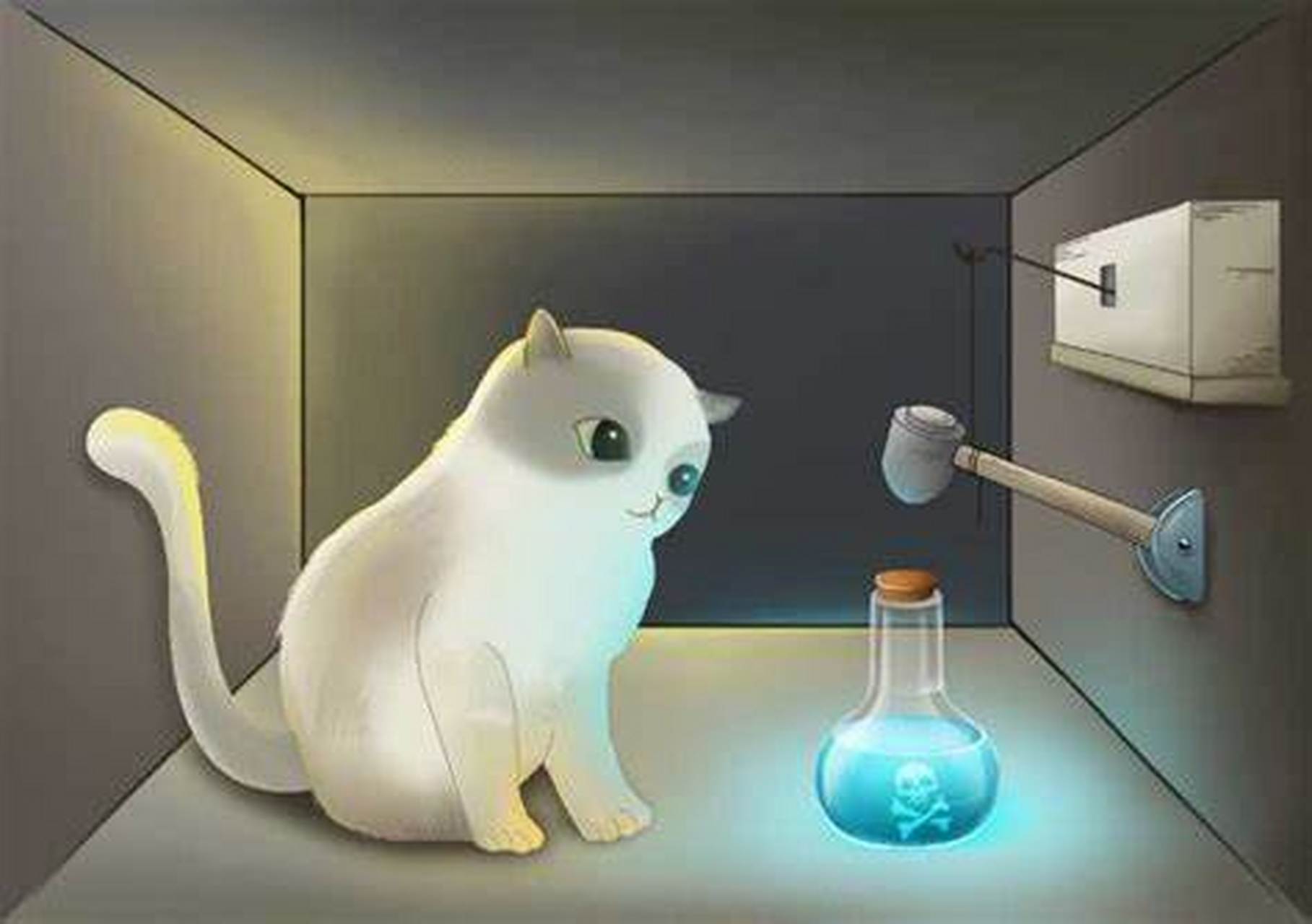 量子力学# #薛定谔的猫#  薛定谔的猫是著名的量子力学思想实验,由