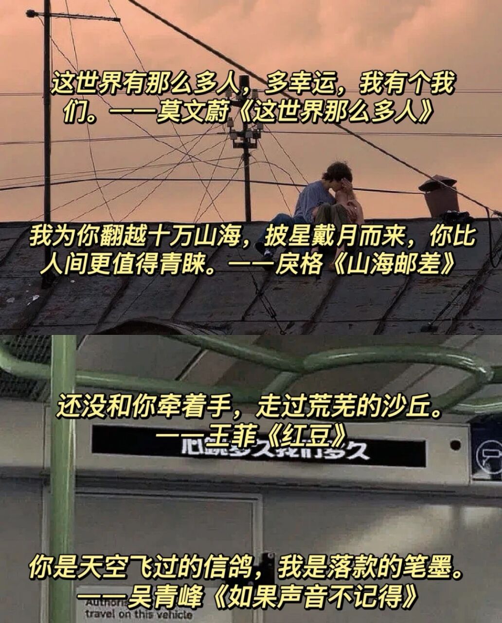 那些藏在歌词里的浪漫|我们都有觉悟要疯狂到日出.