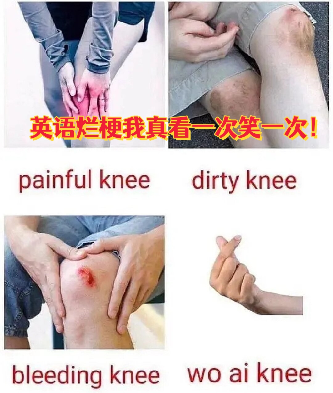 每当我看到这些图片就会忍不住笑出声来哈哈哈 meme图片真是个宝库