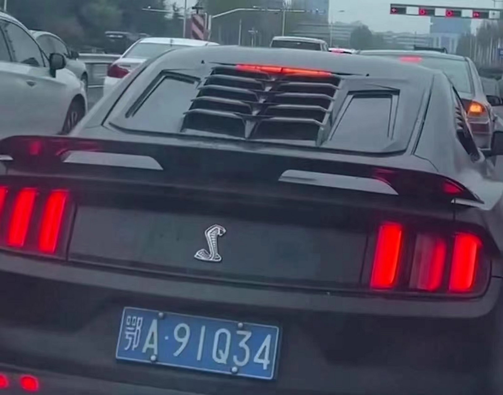 蝰蛇车标?有见过的吗?我是第一次见