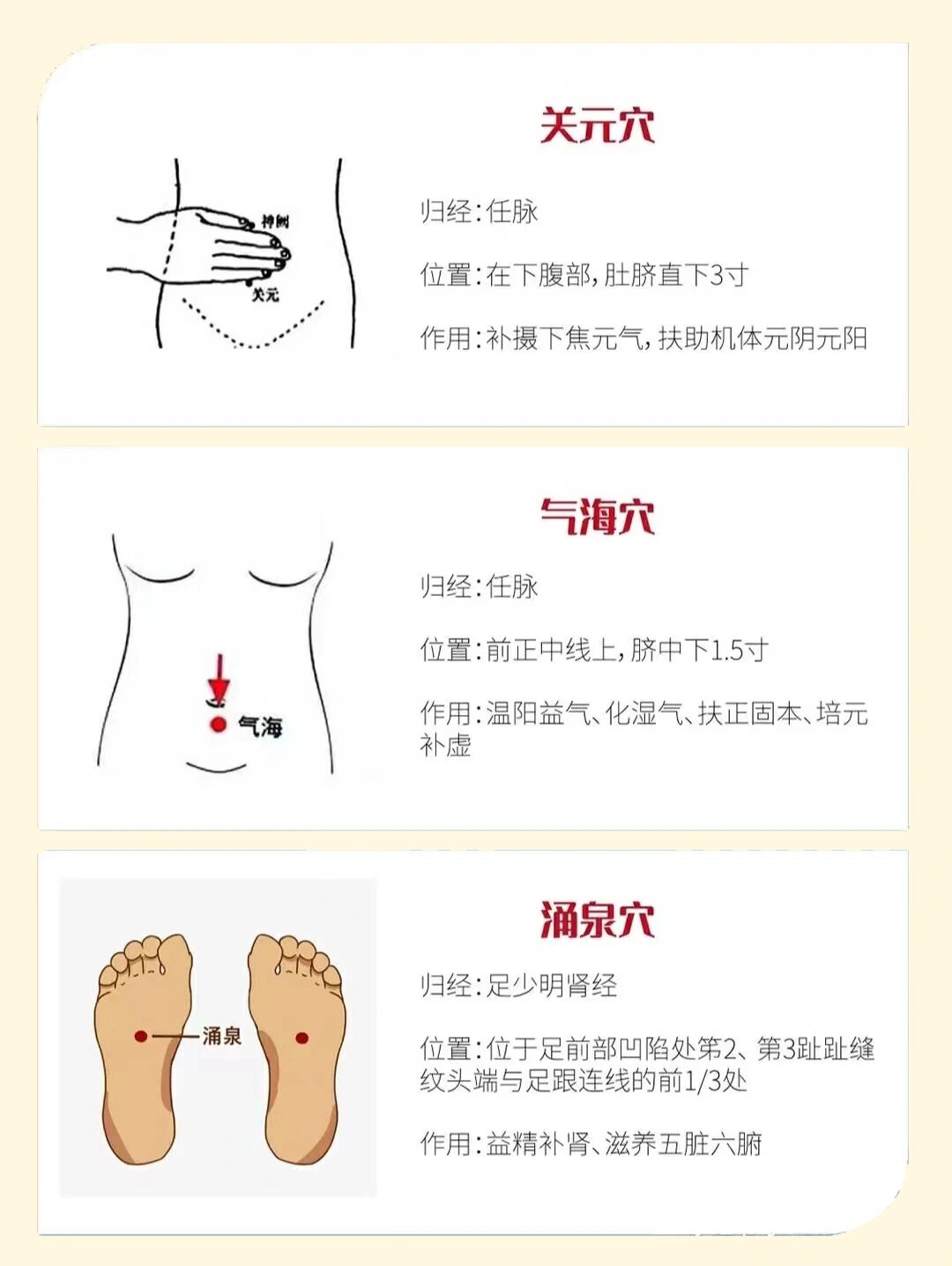 ① 关元穴  位置 在下腹部