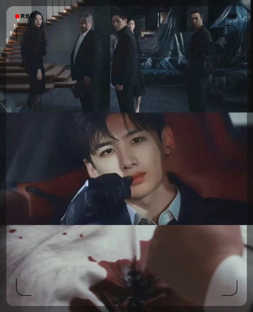 白敬亭和魏晨这对双男主的悬疑搭配简直让人期待不已!