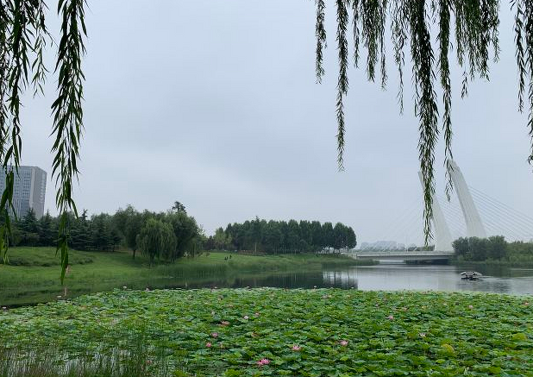 郑州绿荫公园位于金水区天明路与东风路交叉口东.地处繁华购物区.