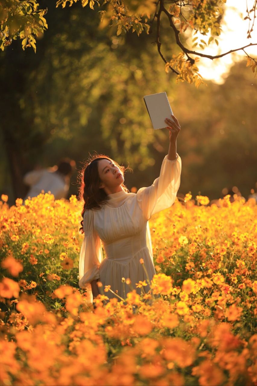 那就来朝阳公园吧,这里的波斯菊不仅人少,而且非常适合拍照
