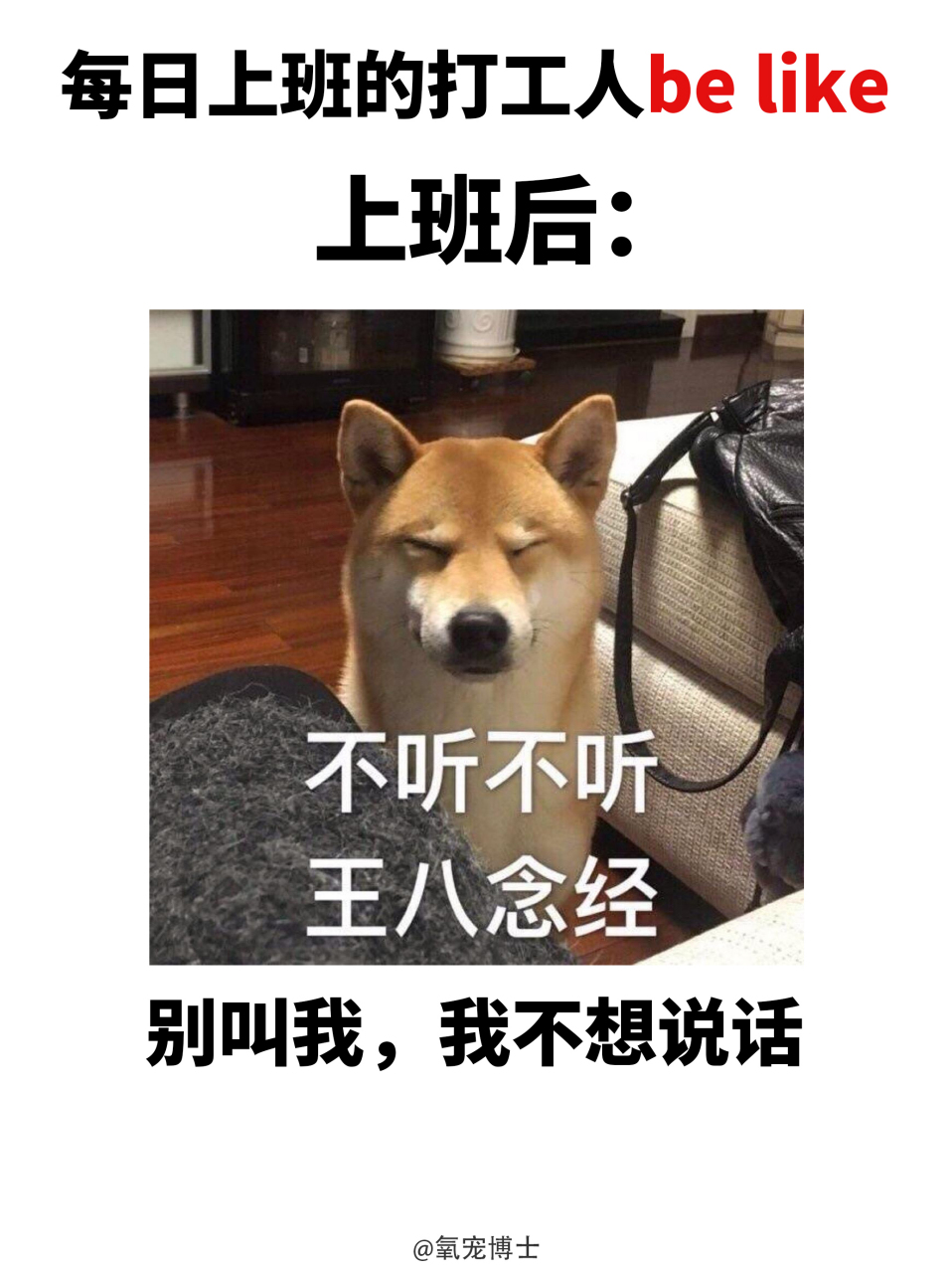 每天上班前vs上班后的be like(98版)  #搞笑狗狗