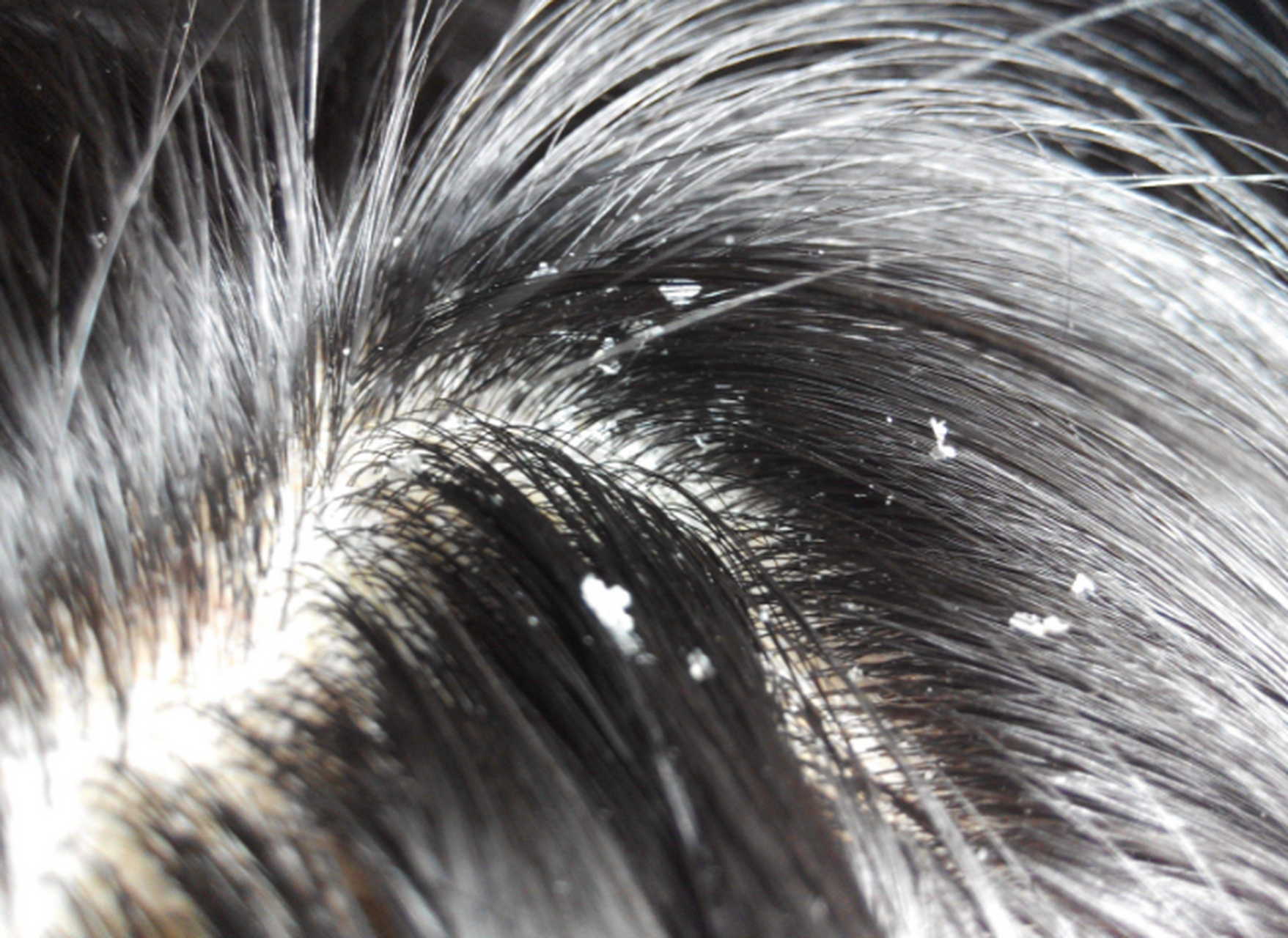 洗发乳非常温和,洗得很干净,泡沫丰富易