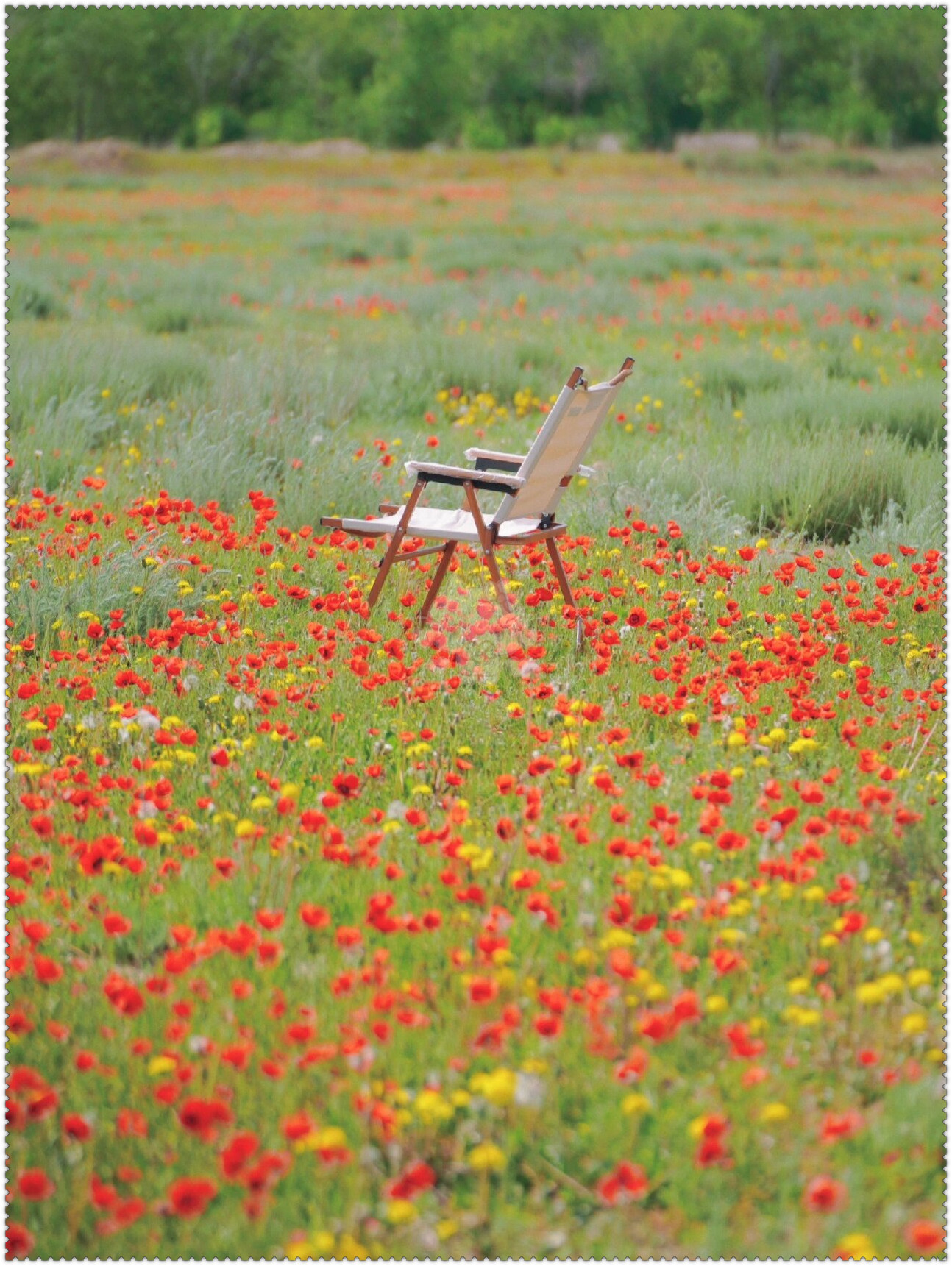 花海摄影|新疆漫山花海尽情畅游 莫奈油画的浪漫  摄影胜地:新疆伊犁