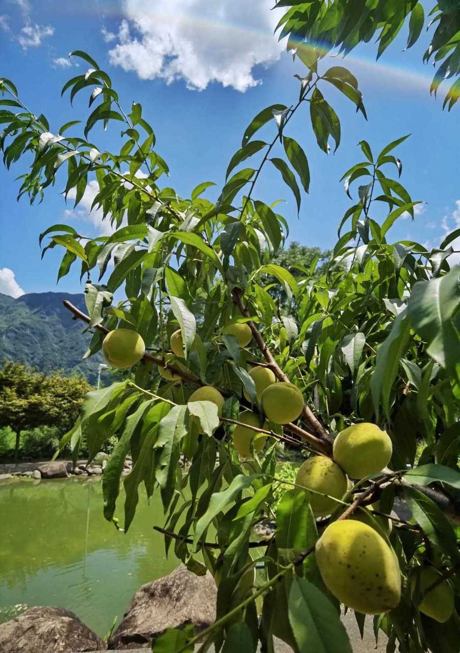 绿水青山带笑颜石坞村图片