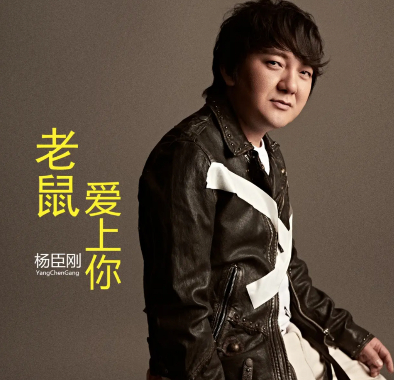 杨臣刚的一首《老鼠爱大米》爆火!