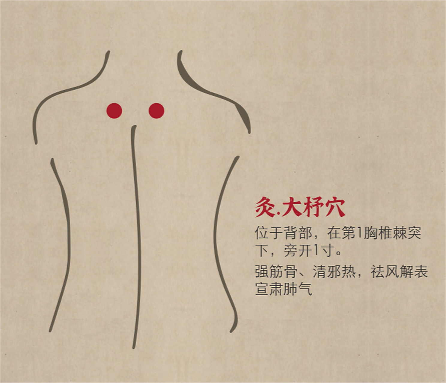 大杼穴有强筋骨,清邪热的功效,祛风解表,宣肃肺气的作用.