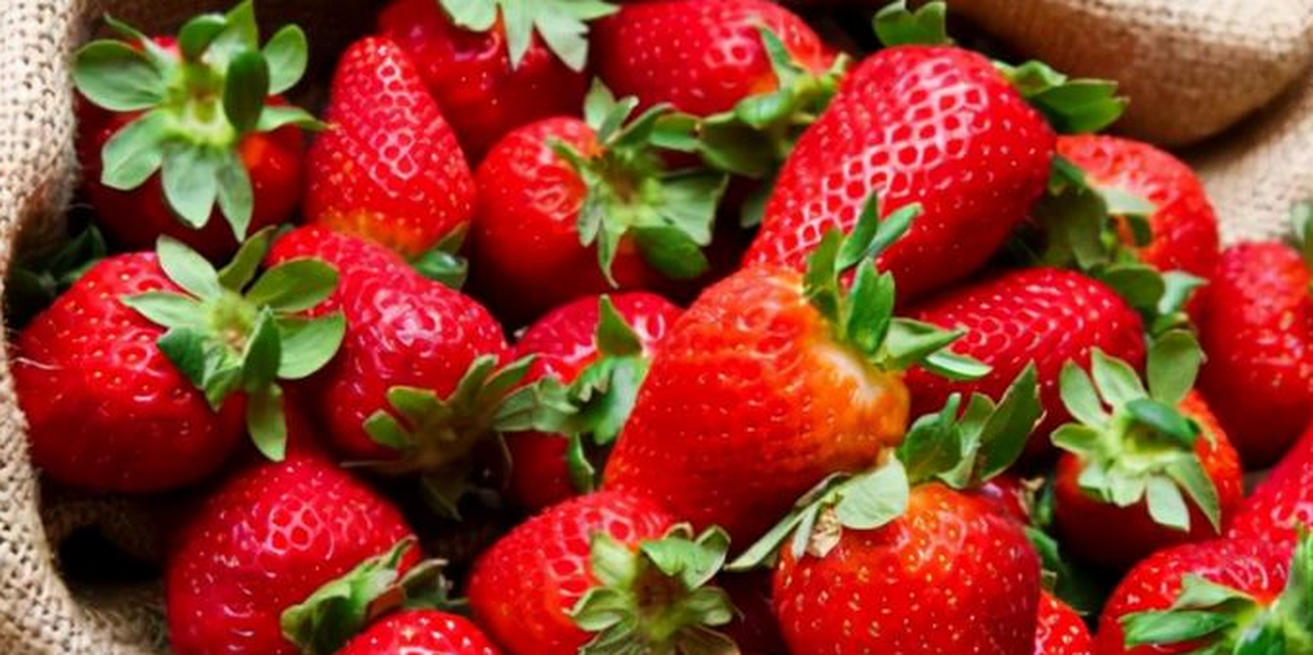 黄樱桃 诸城黄樱桃是一类樱桃,它的果实较大,多为圆球形,果皮为橘黄色