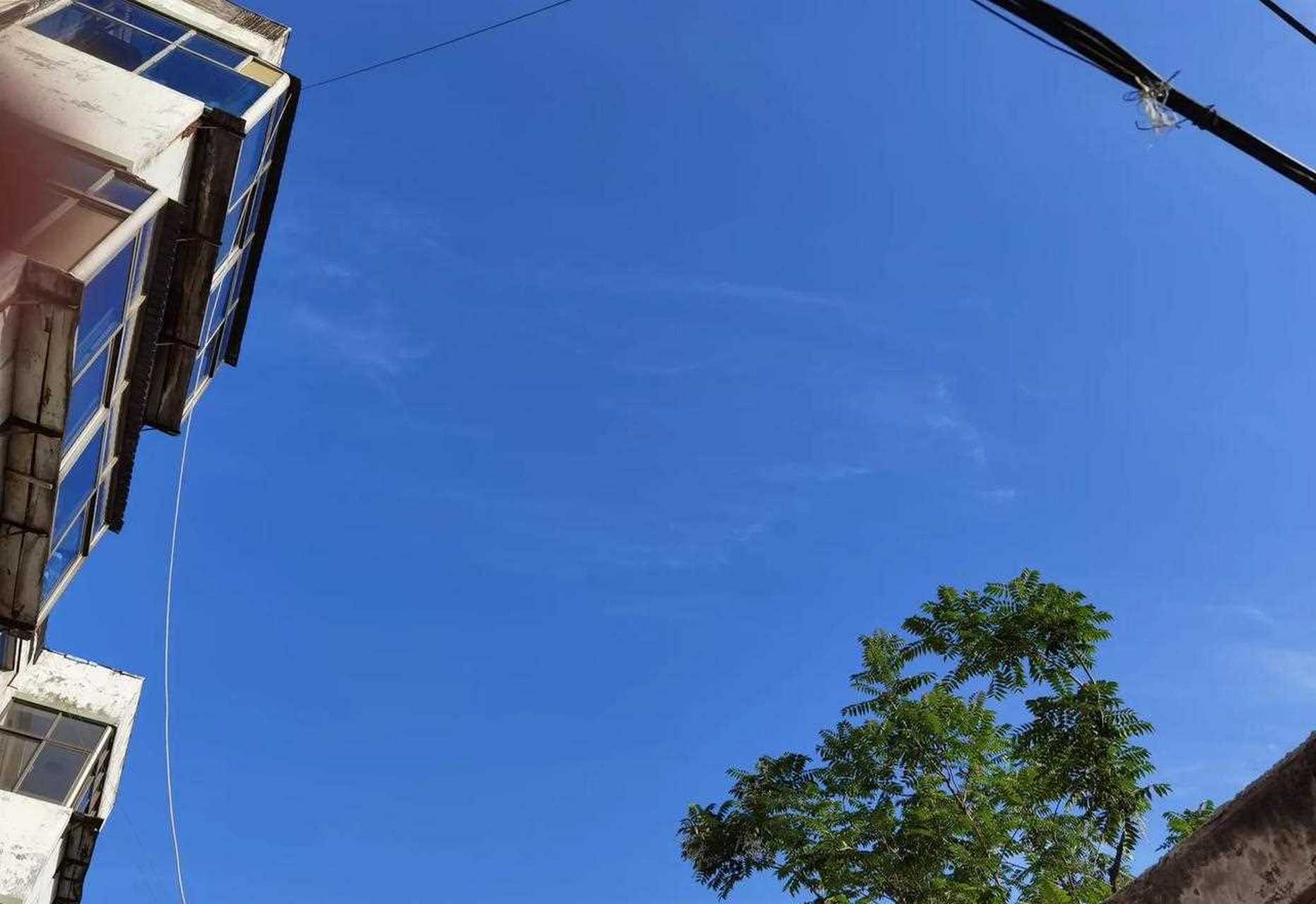 今天应该是个大热天,还不到八点钟,就已经是艳阳高照了.