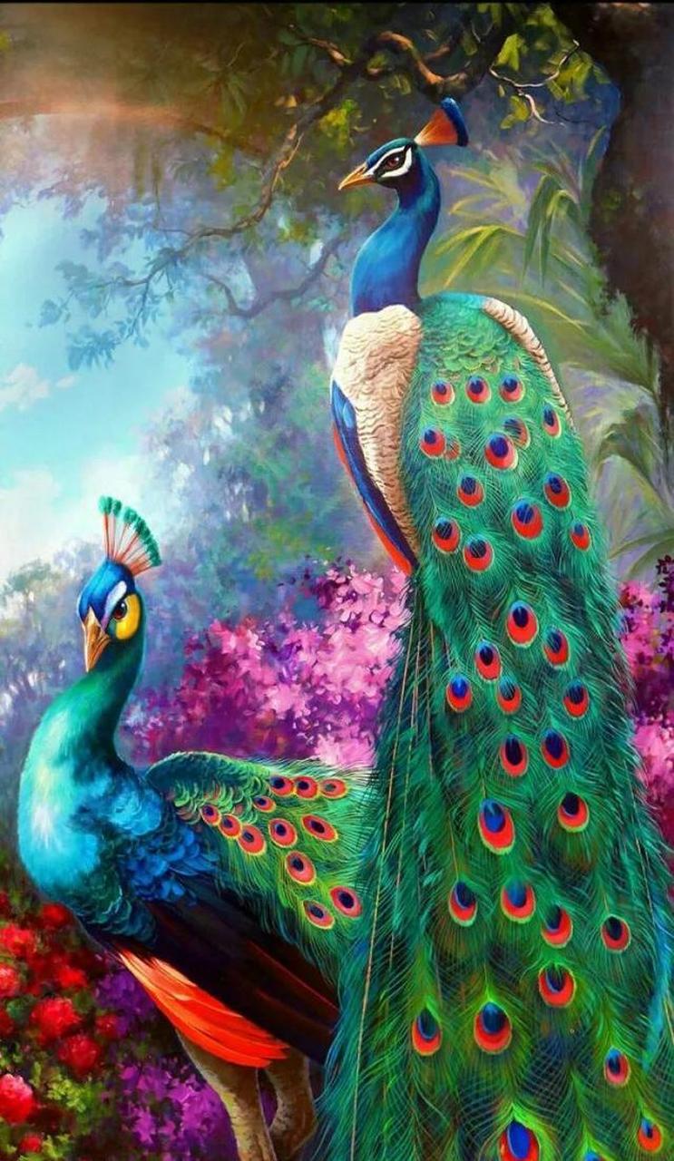 华贵吉祥,雍容华贵,富丽堂皇的孔雀鸟,芳情雀艳若翠仙