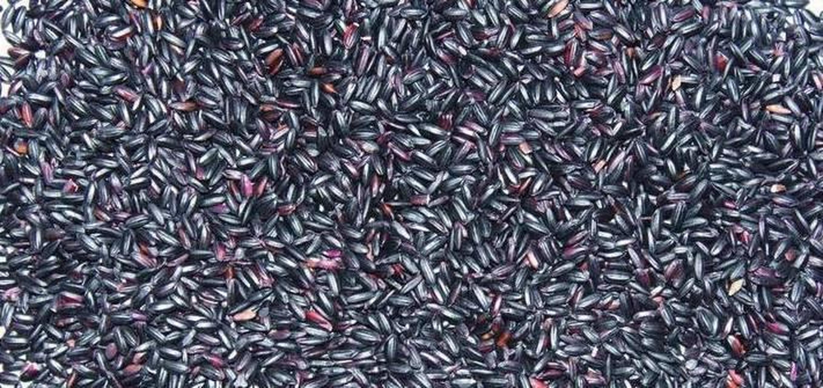 黑米又称紫糯米.它具有减肥功效主要是营养成分高,蛋白质含量丰富.