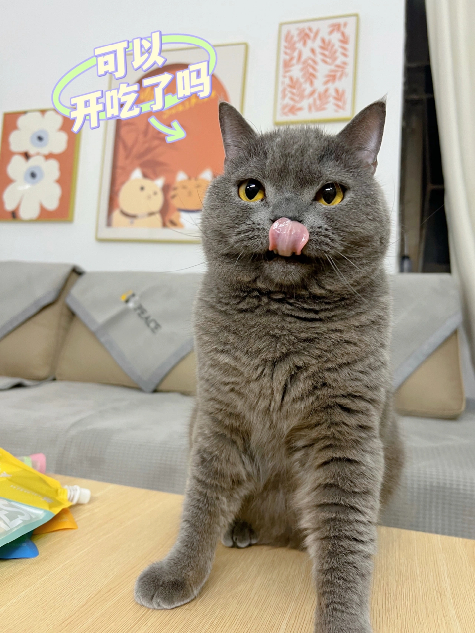 我们广东人可以不吃饭,但不可以♀不喝汤,我妈就te别热衷于给我煲汤