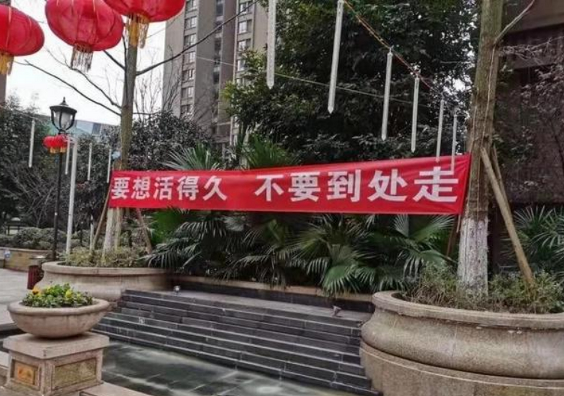 那些刚熬过新冠的人 又被甲流放倒