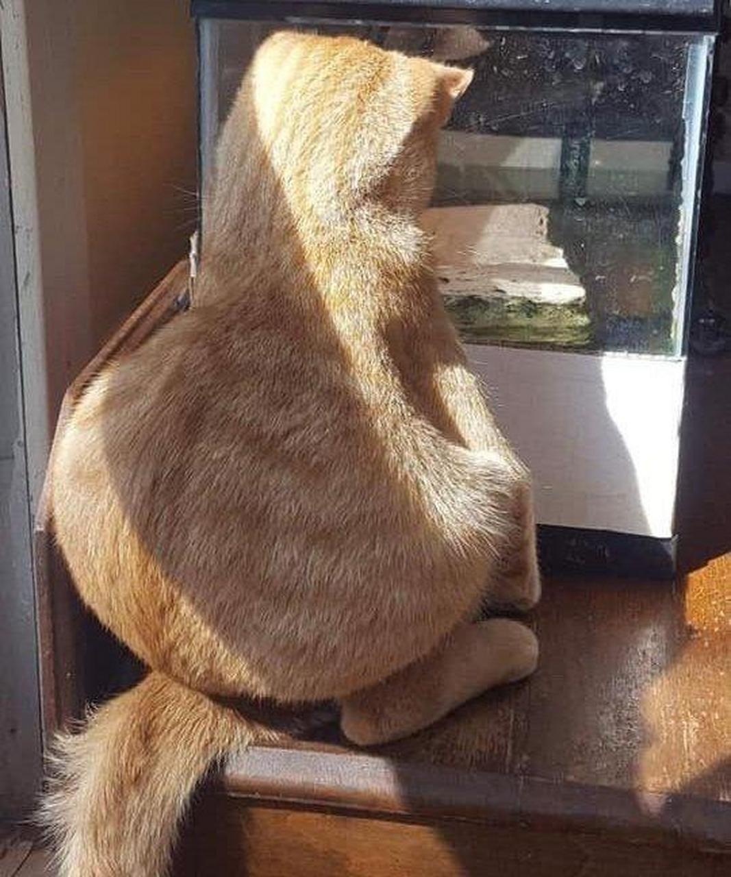 二舅妈一气之下,就跟我大舅结婚了.