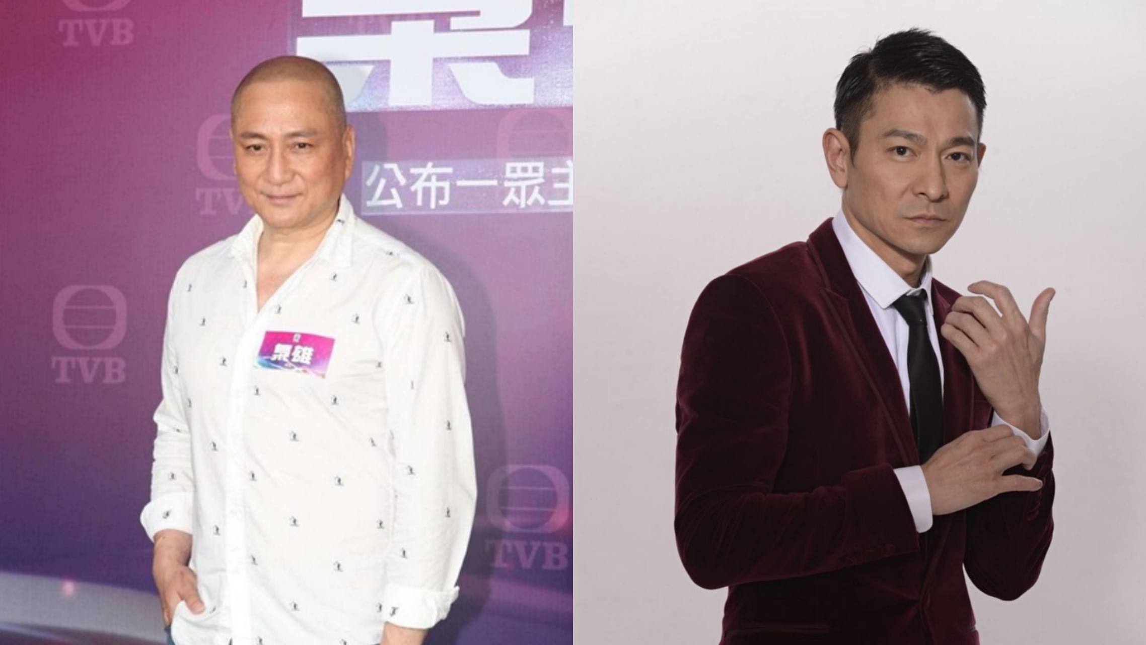 "  02  汤镇业与刘德华同是tvb无线的五虎成员