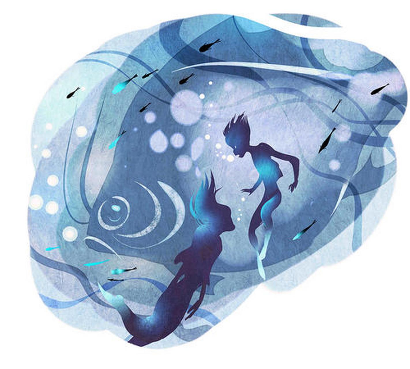 《寻找鱼王》,宁静的山村里流传着"鱼王"的传说,他是捕鱼的旷世高手.