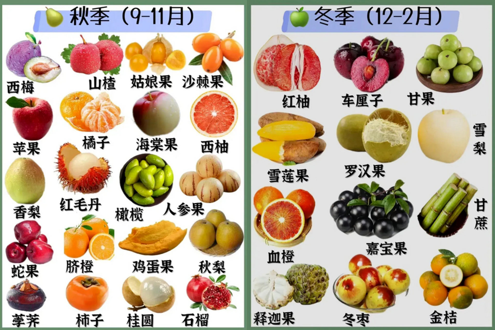 水果季节成熟表图片