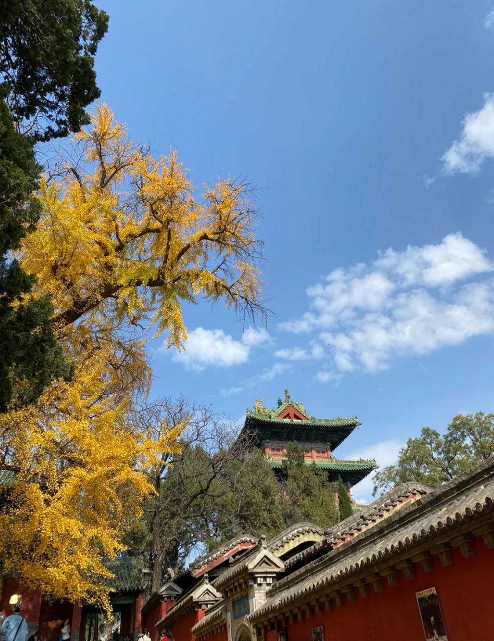 登封嵩山红叶节来了94你还不来吗,秋日赏红叶美景 秋高气爽7815