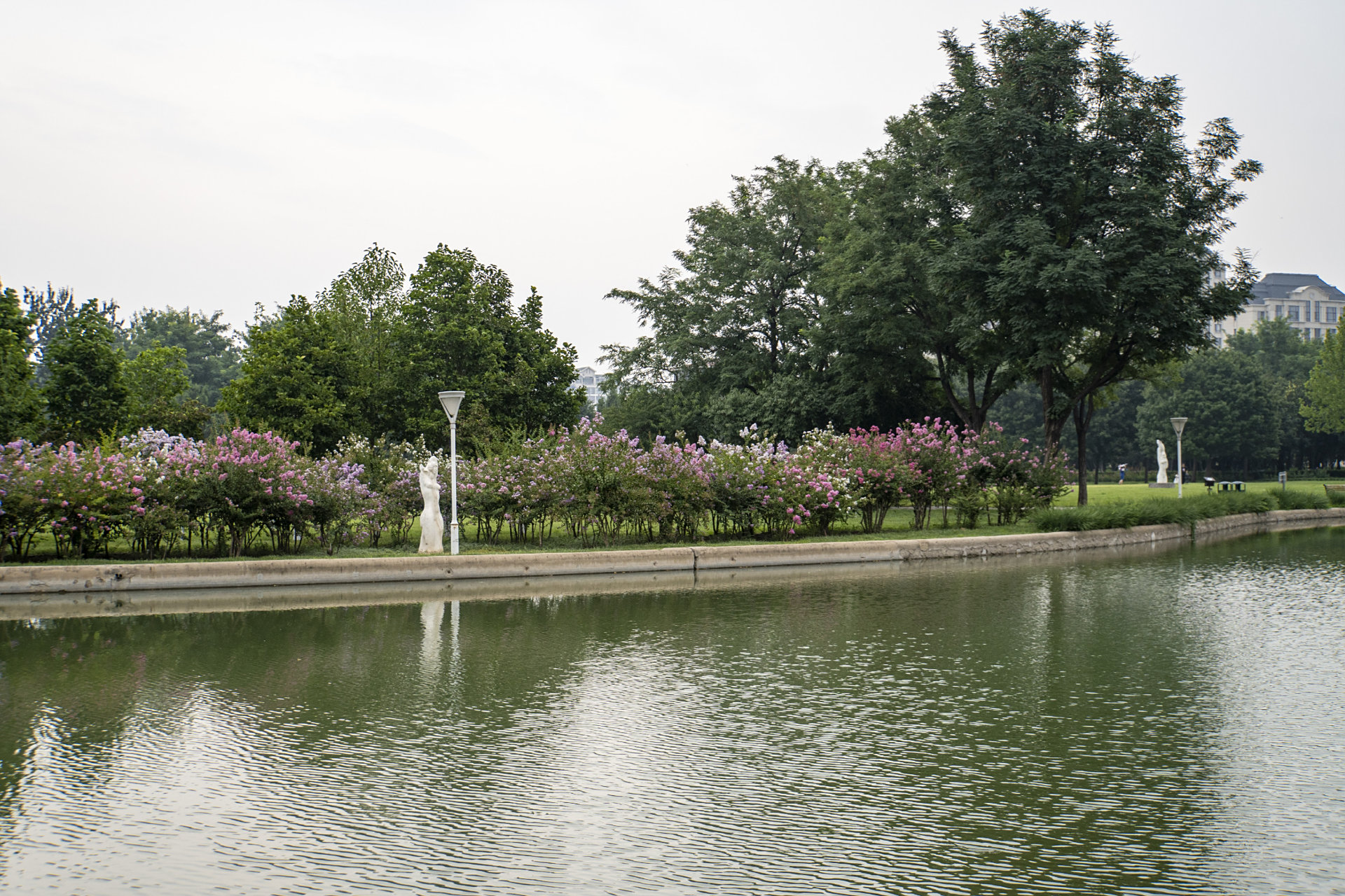 天津市滨海新区泰丰公园放飞自我的好地方.#我的随手拍# #夏日随手拍