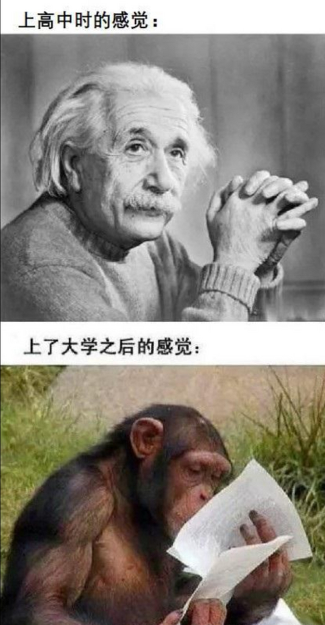 理想太丰满,现实太骨感