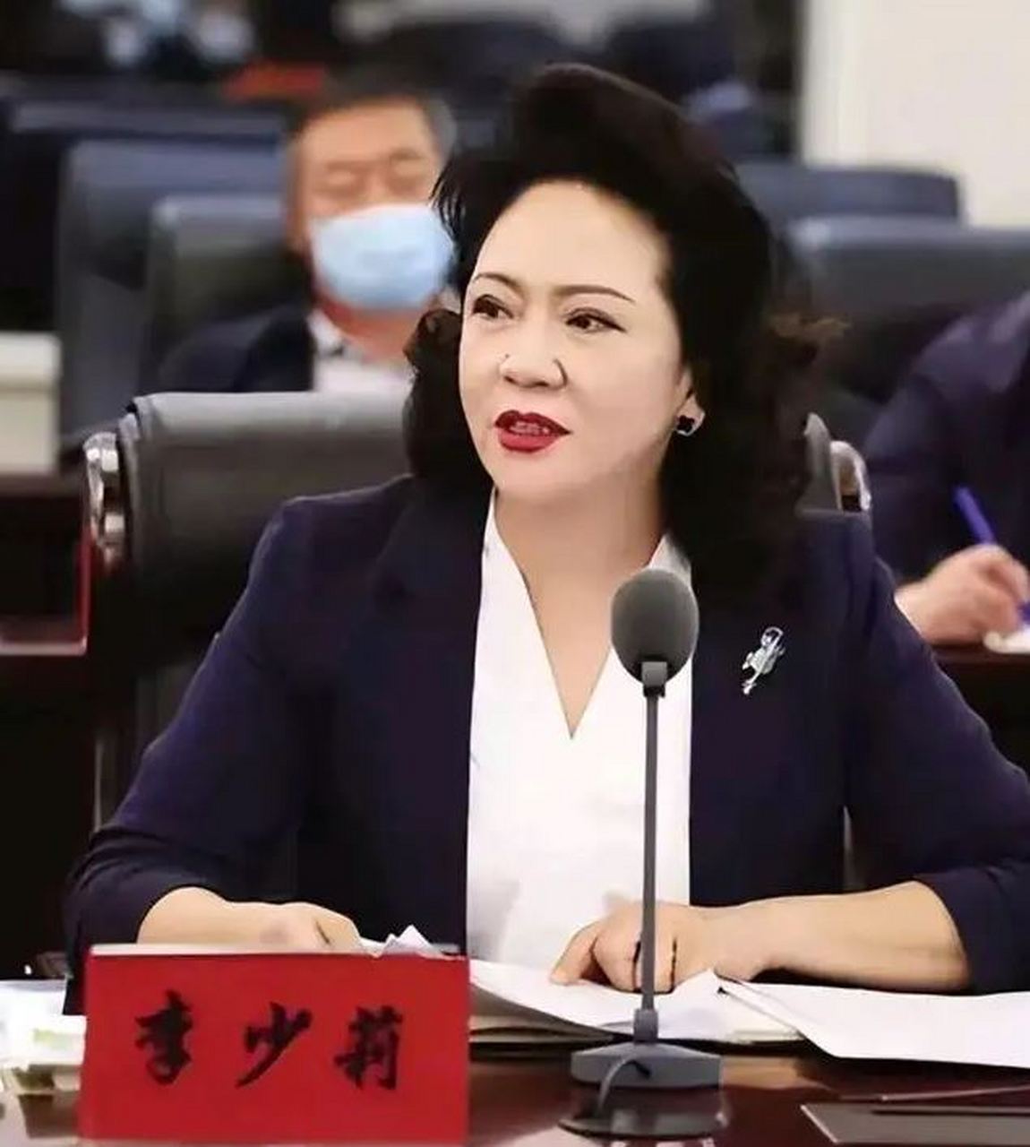 现代九叶诗派诗人袁可嘉有一首诗,《母亲》—— 迎上门来堆一脸感激