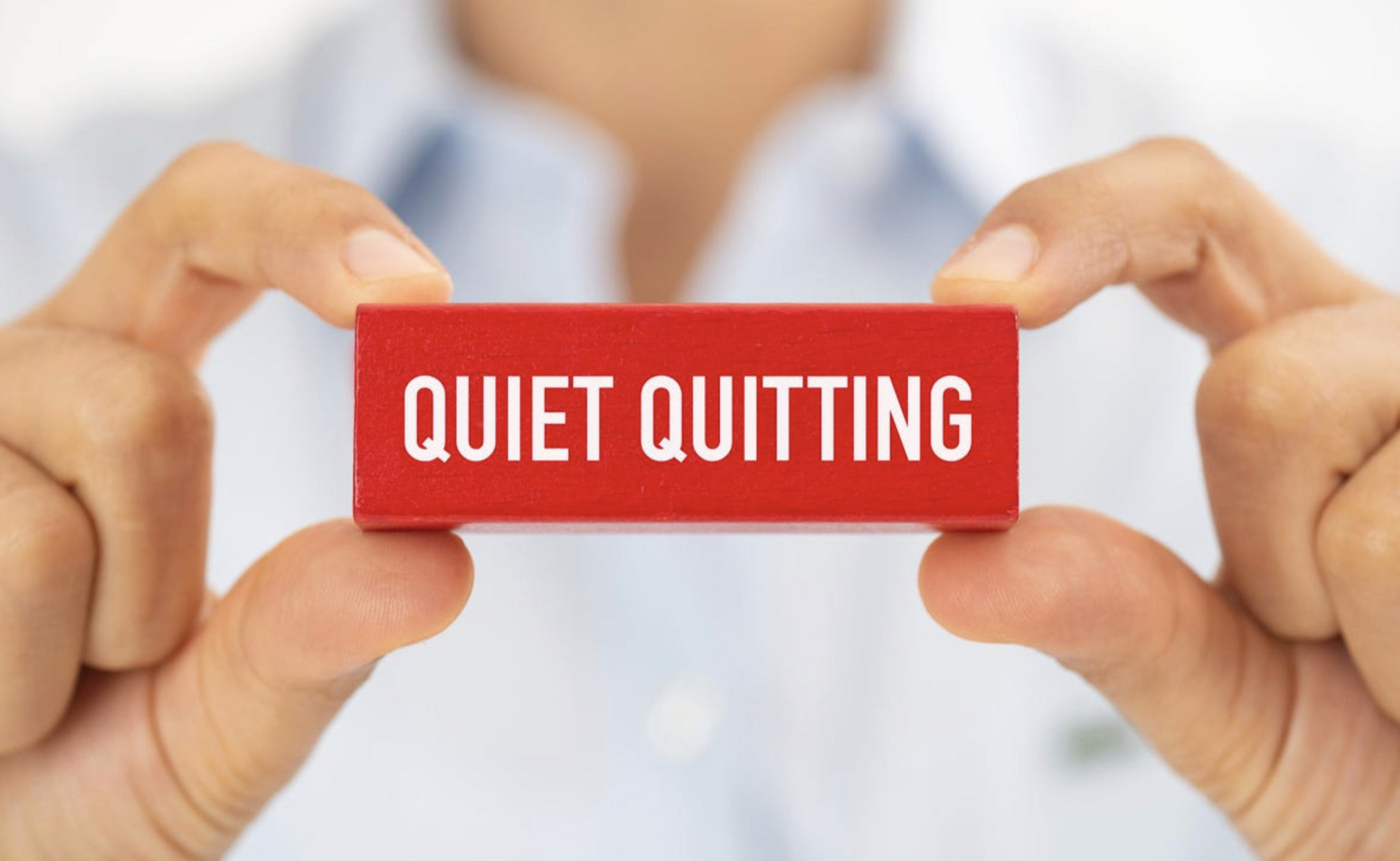 摆烂# #躺平# #职场英语# #quiet quitting#  现在网络新词很多,摆烂