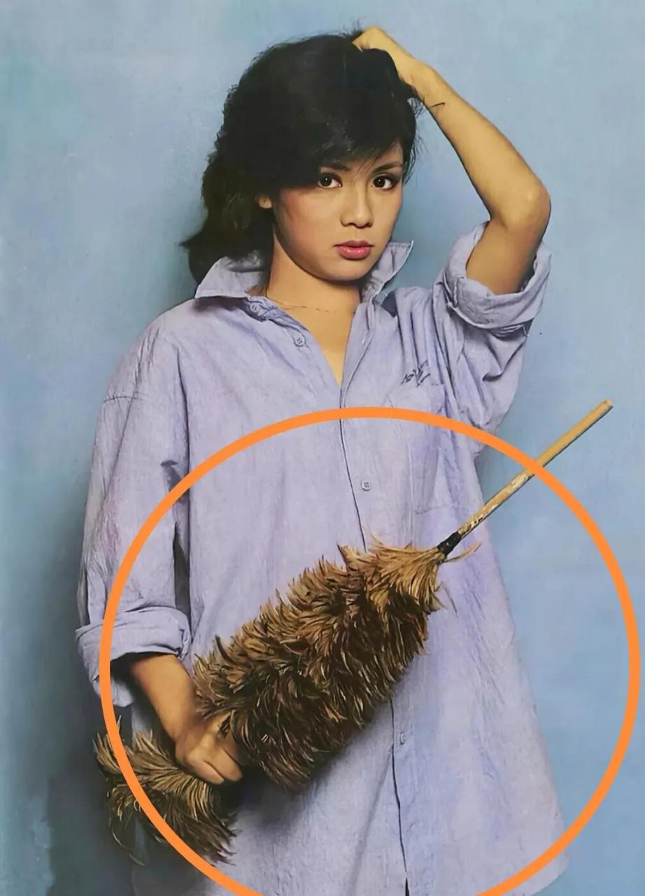 这个鸡毛掸子还可以多用,有个别的大人专门拿鸡毛掸子打调皮的熊孩子