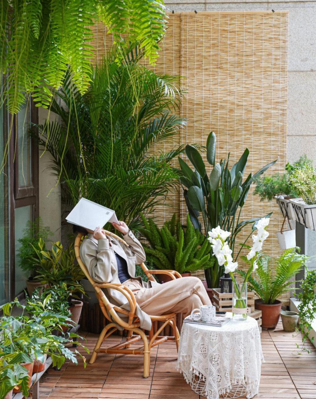 阳台花园,在属于我的小森林虚度光阴[饺子] 这个半封闭的阳台,慢慢的