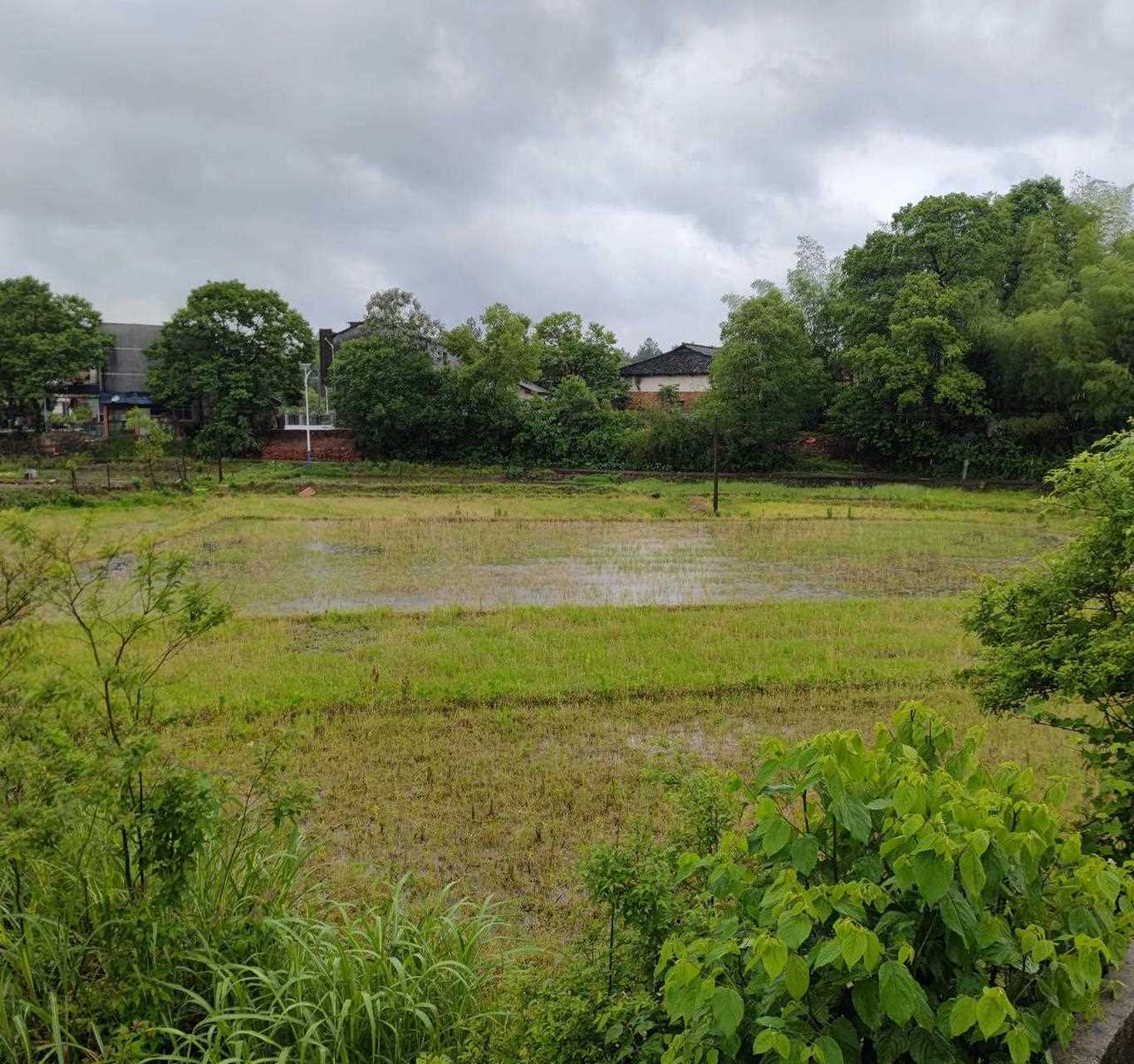 浏阳市龙伏镇石柱峰村图片