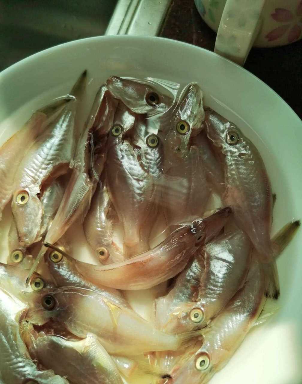 新鲜的特仔鱼,直接焖煮更好吃,也有干的和腌制的,这两种更多的香煎