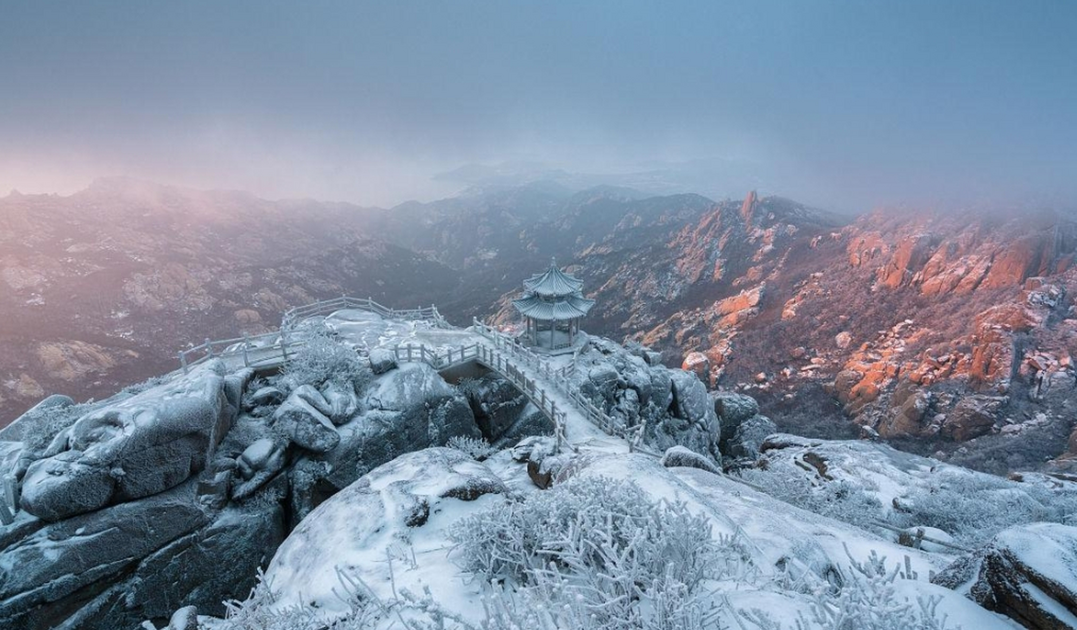 泰山好客多少钱图片