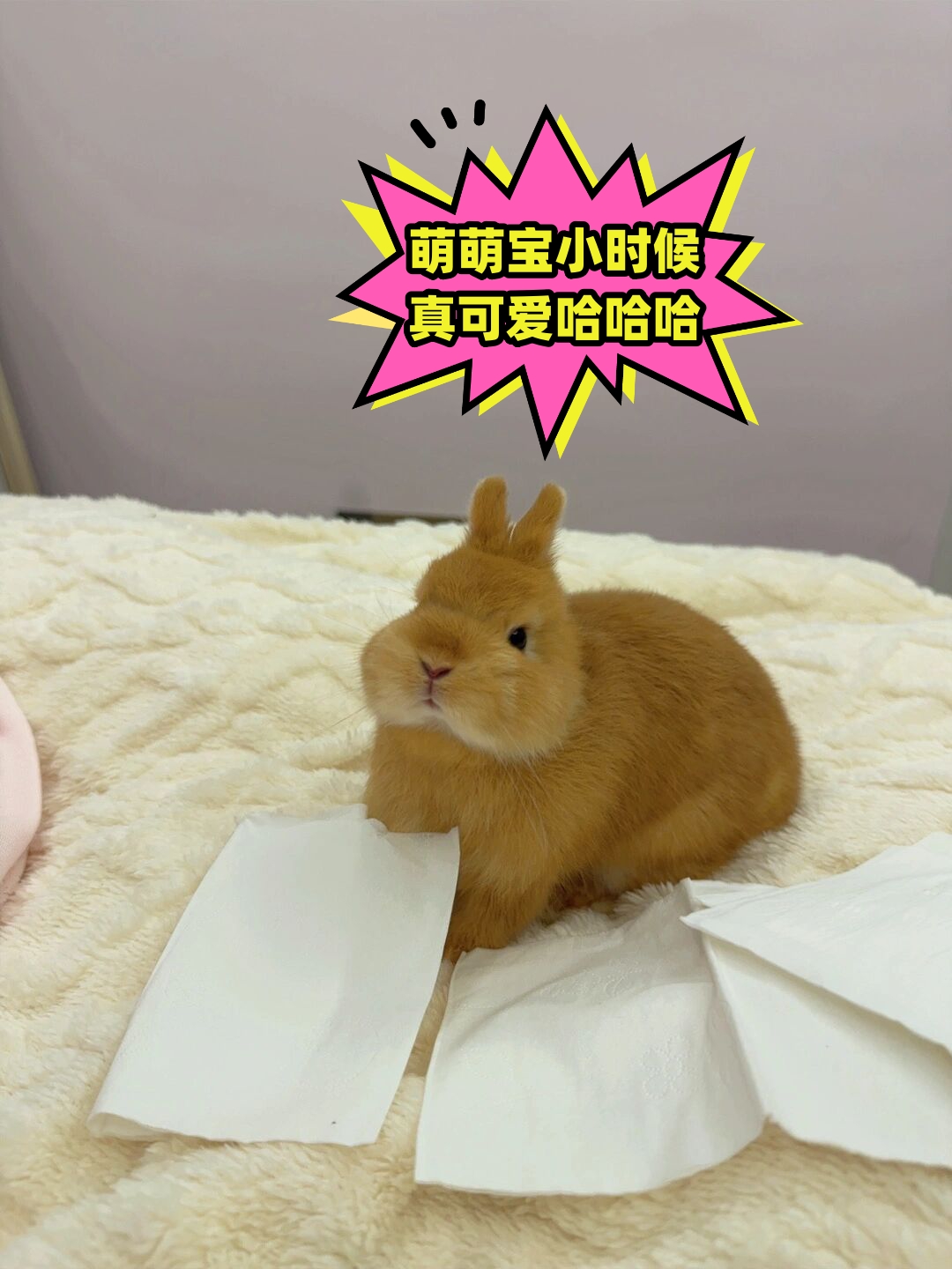 萌萌宝小时候真可爱哈哈哈
