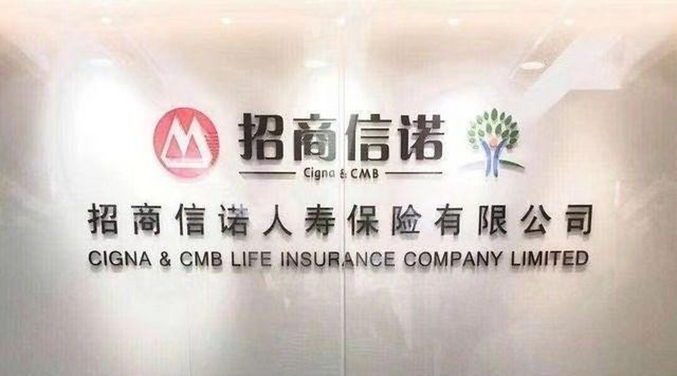 【个性化营销服务,招商信诺保险的数字化转型】数字化转型是企业高