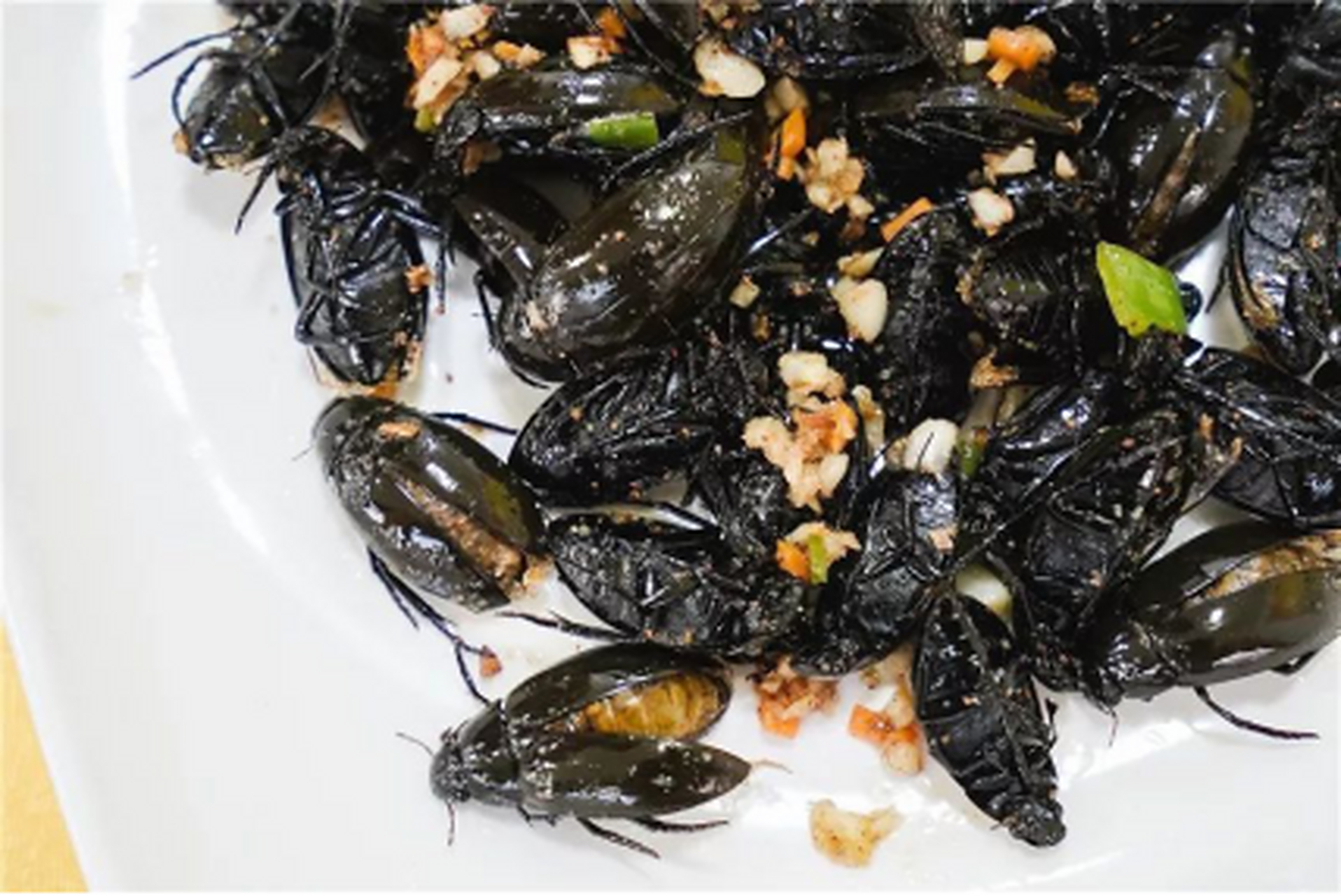 水中人参-龙虱,它的作用是啥?