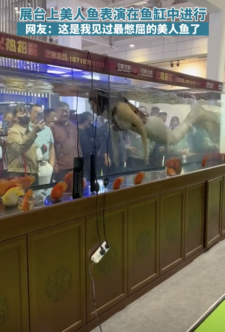 这鱼缸,美人鱼都差点憋晕过去.