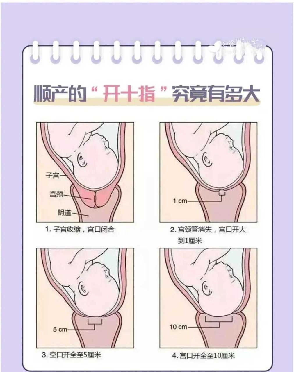 宫口开十指图片图片