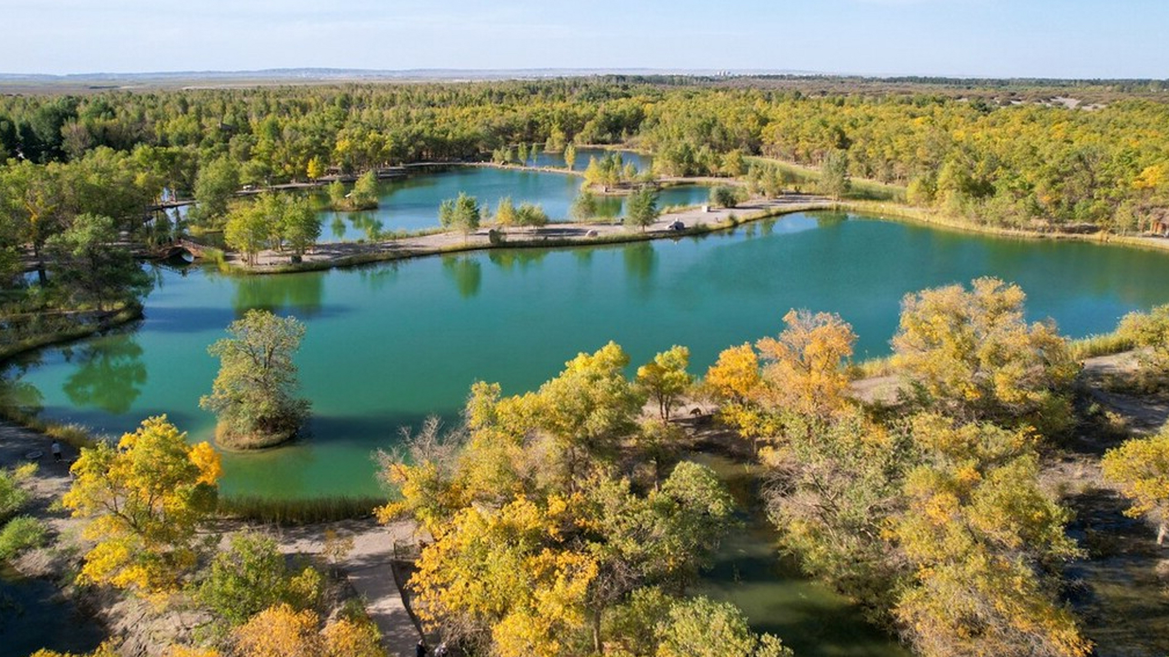 金秋时节,甘肃金塔沙漠胡杨林风景如画,胡杨,碧水和大漠相映成景