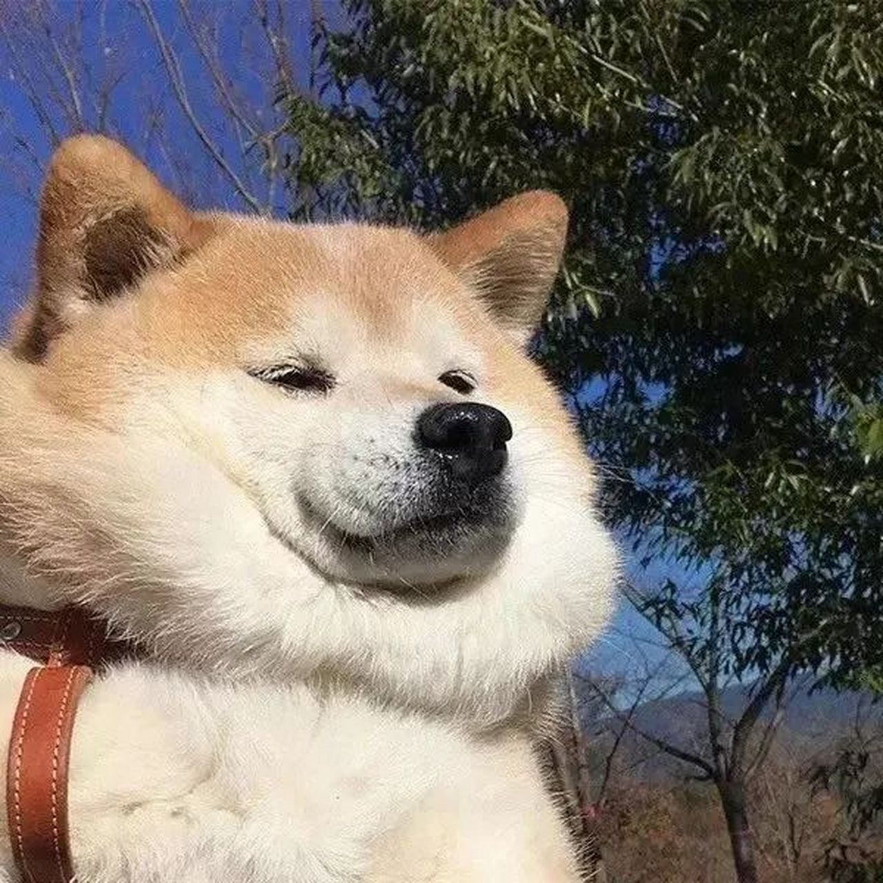 "当你觉得晚的时候,恰恰是最早的时候