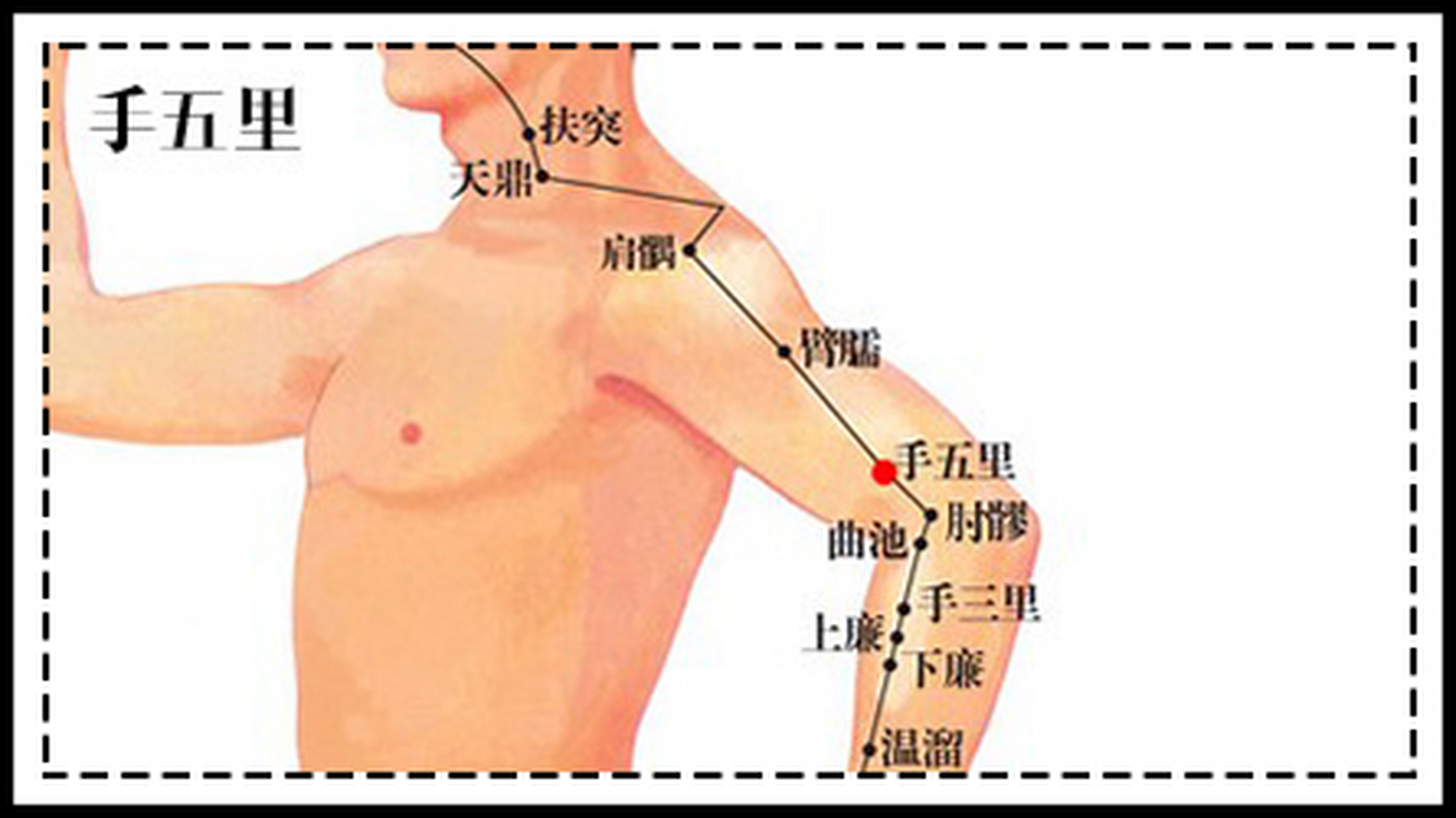 穴位# #穴位养生# #人体穴位# 手五里:别名大禁,五里,臂五里,尺治五