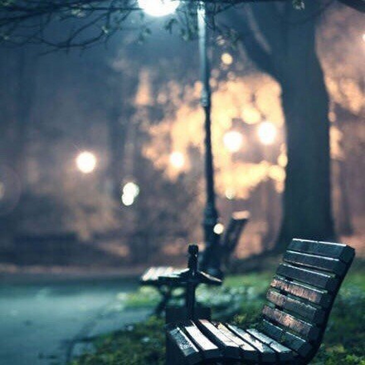 我明白你会来,所以我等. ——沈从文《雨后》