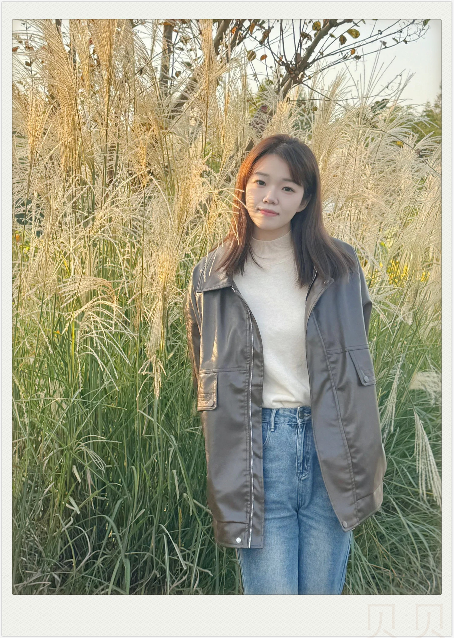 三个迷人的湿地景观如画般美丽的芦苇荡