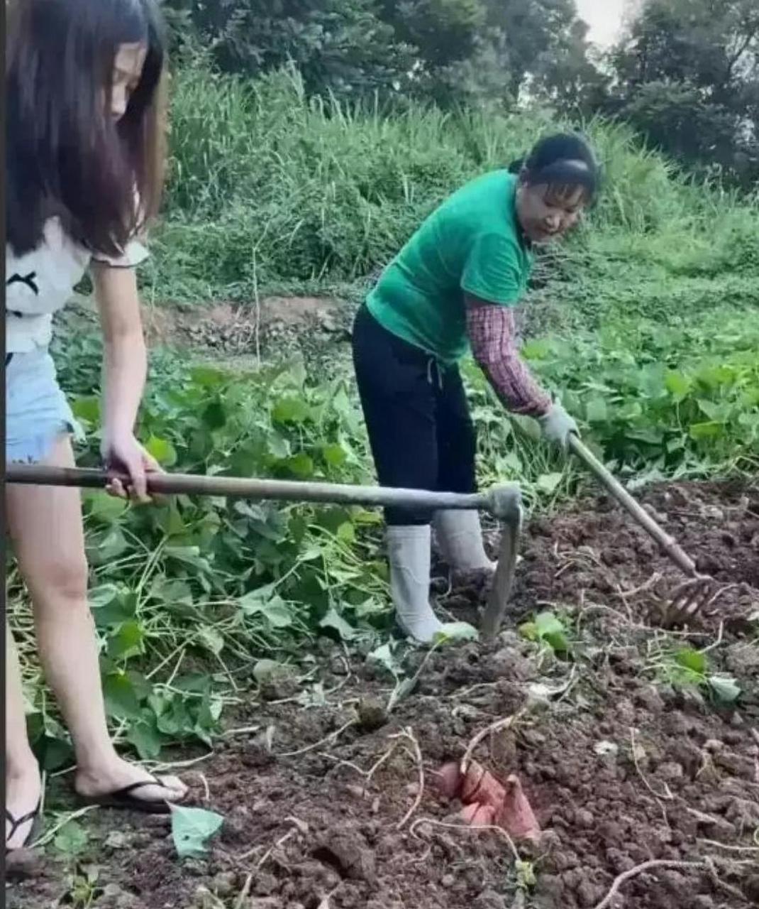 这是一种什么目光?[笑哭]