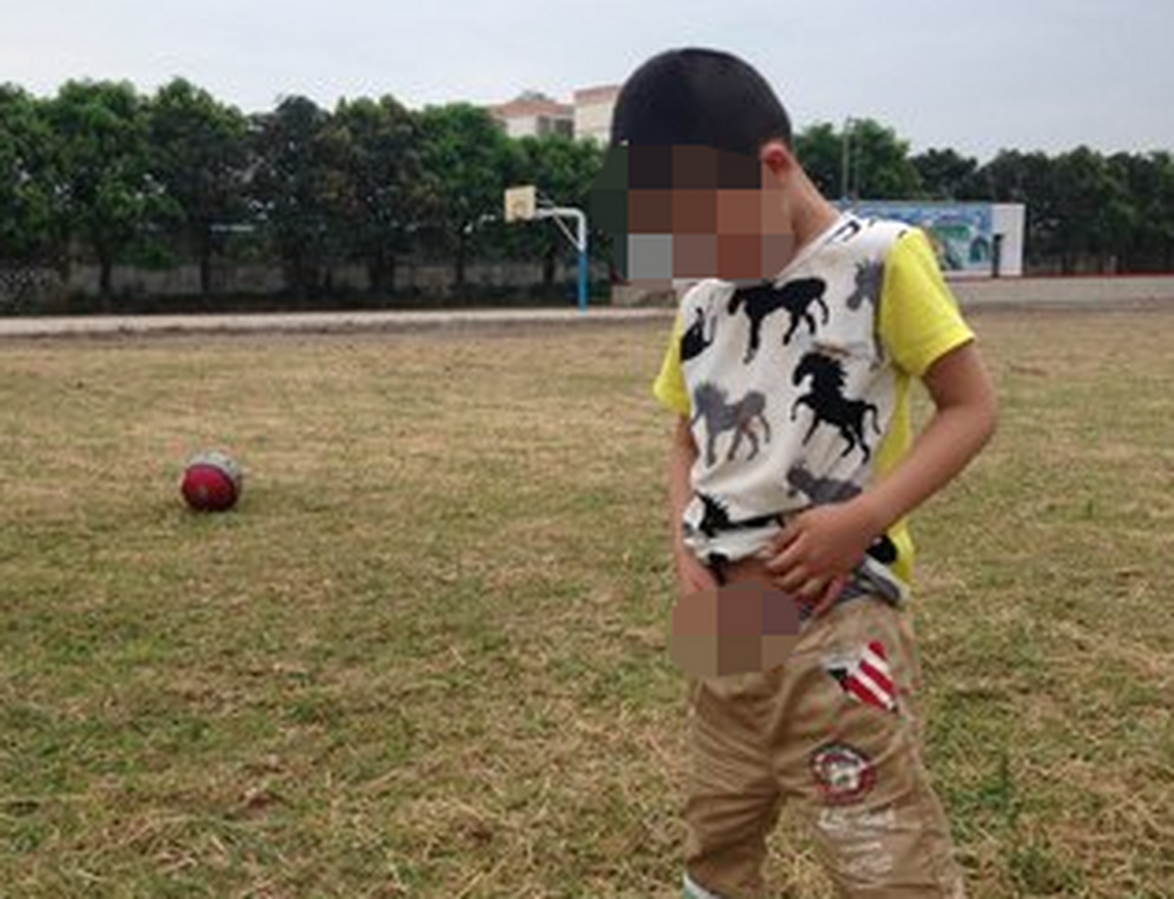 3岁的平平,在家门口尿尿,引来了很多蚂蚁,外婆感觉不对,再联想到平平