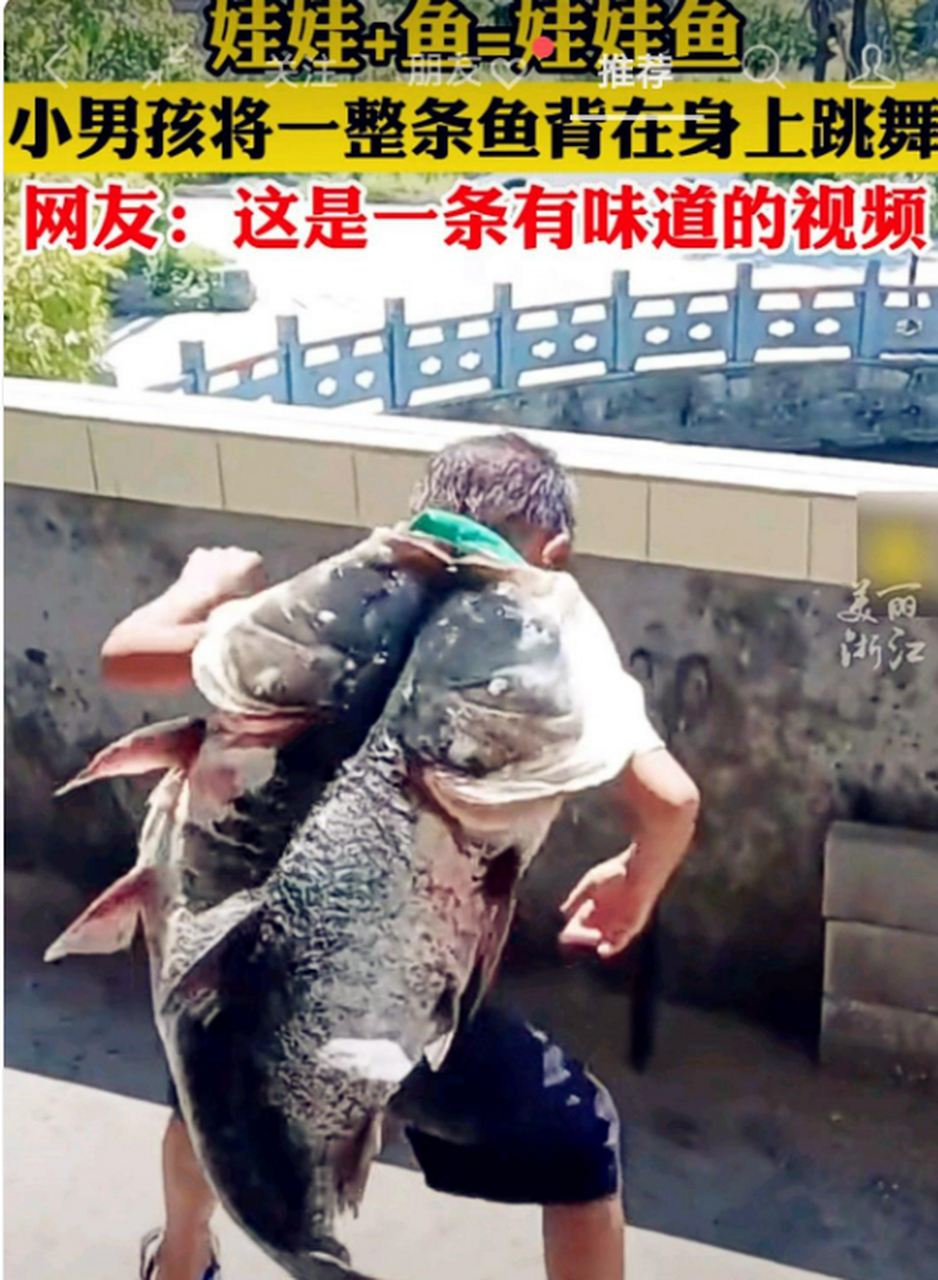 娃娃 鱼=娃娃鱼,真人版的娃娃鱼