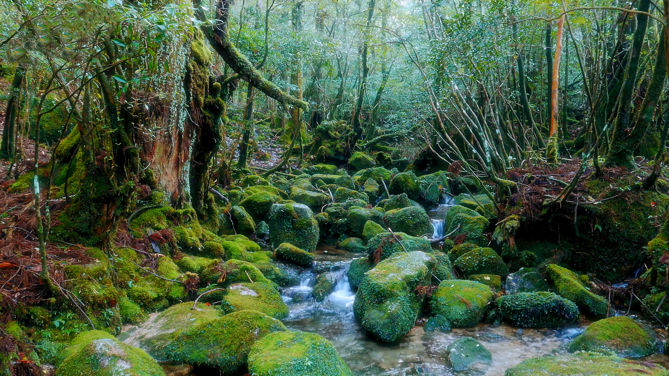 植物博物馆图片